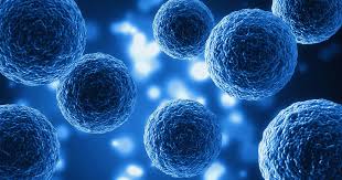 exosomes