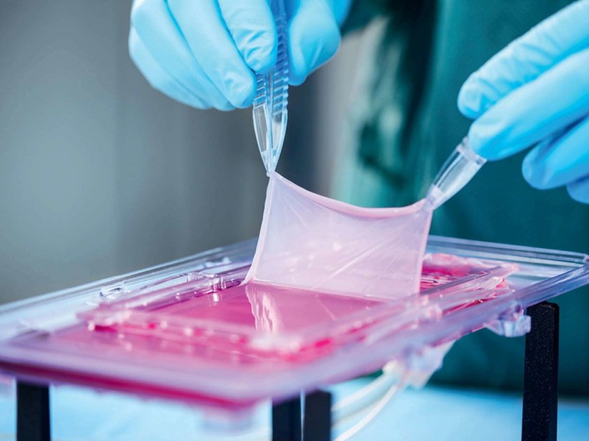 tourisme médical tunisie